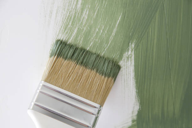Best Mold Prevention Services  in Osage, IA