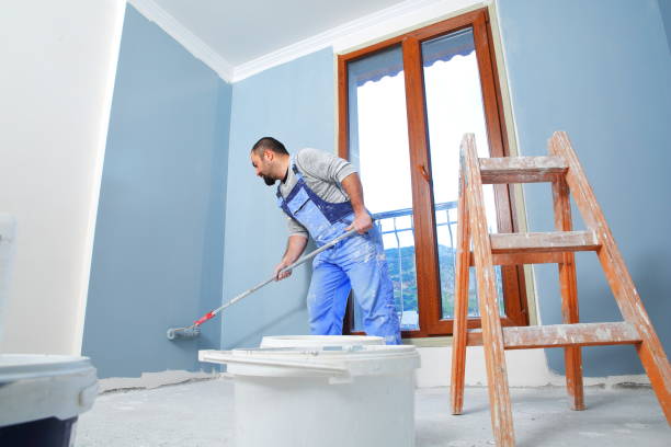 Mold Odor Removal Services in Osage, IA