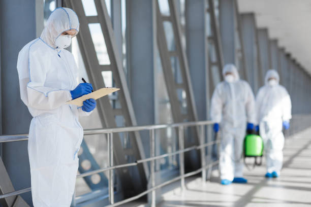 Mold Documentation for Insurance Claims in Osage, IA