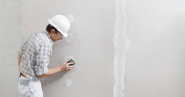 Mold Documentation for Insurance Claims in Osage, IA