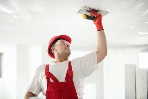 Osage, IA Mold Removal Company