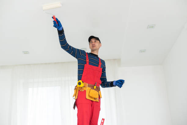 Best Post-Construction Mold Inspection  in Osage, IA